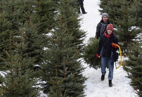 Berlin Citizens Shop For Christmas Trees