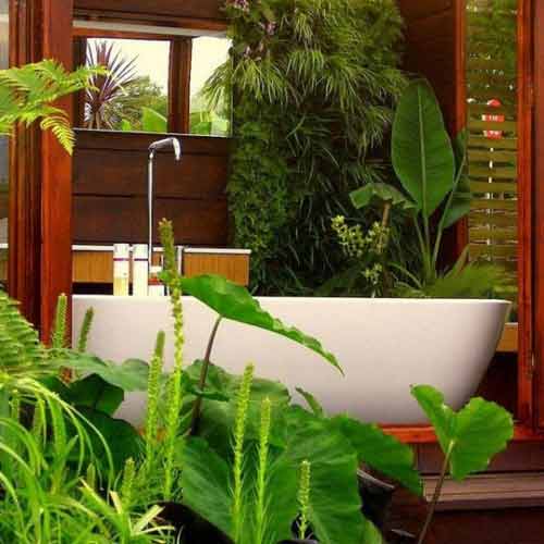 Eco-Friendly Bathrooms