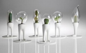 Indoor Garden Planter lamps