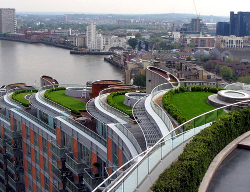 Green Roofing