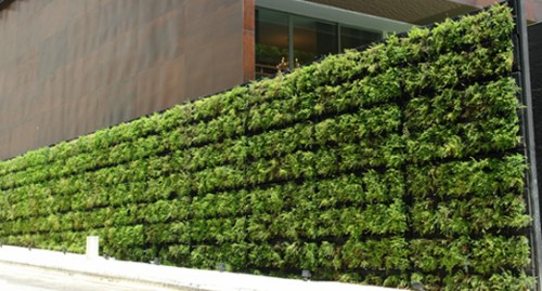 Climbing wall facades