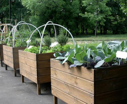Wooden Garden Crates for Indoor Gardening