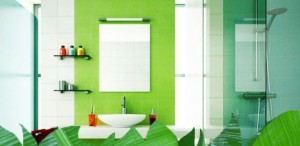 Eco friendly home improvement ideas