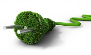 Tips on How to Go Green