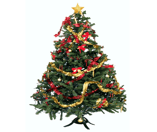 How to Keep Your Christmas Tree Green and Beautifully Decorated