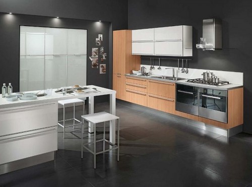 Luxurious Decorative kitchen cabinets