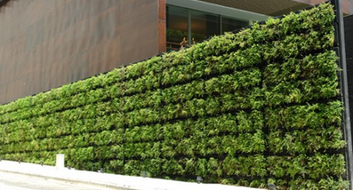 Green Walls and Their Types