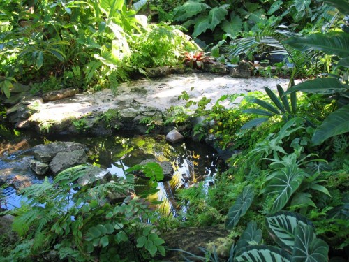 A Garden Pond Showpiece