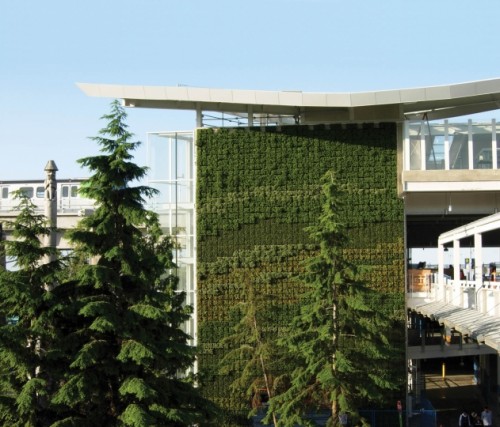 Modular living walls