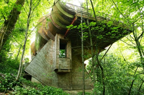 Organic Architecture