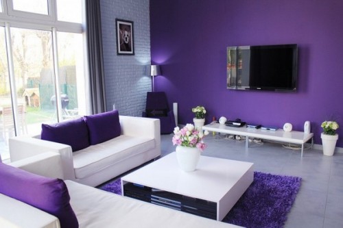 Purple Home Decorating Color