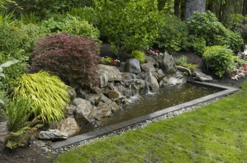 Updating Your Garden: Ponds and Water Features