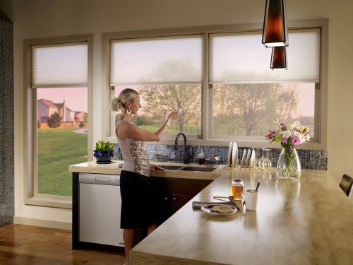 Advantages of Motorized Blinds Explored