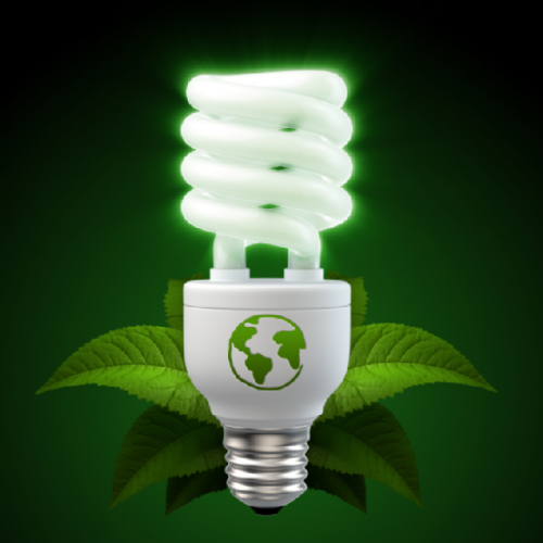 Use compact fluorescent light bulbs