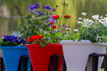 Red and white pots for garden
