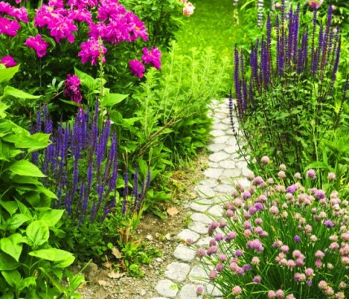 Attractive Garden Path