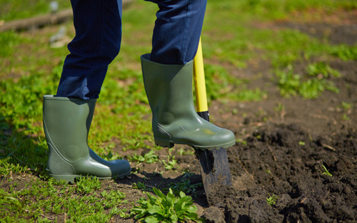 Soil Conditions