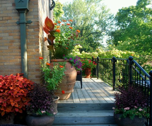 Green Decks to Your Home Garden