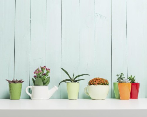 ways to bring colour into your home this spring