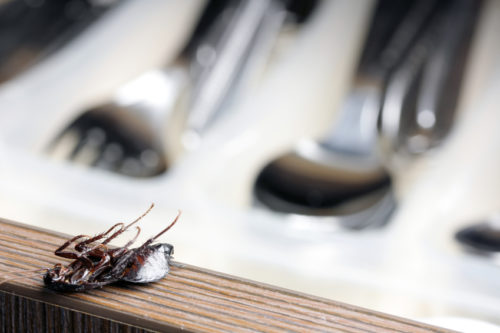 8 Helpful Tips to Keep Pests Away This Summer