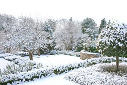 Creating the perfect winter garden wonderland