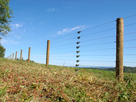 electric fencing