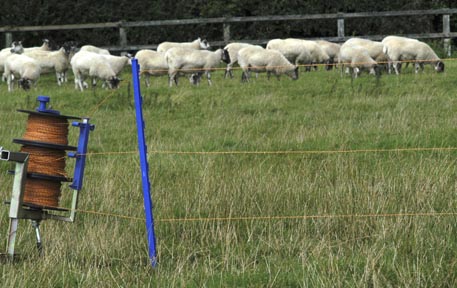 electric fencing