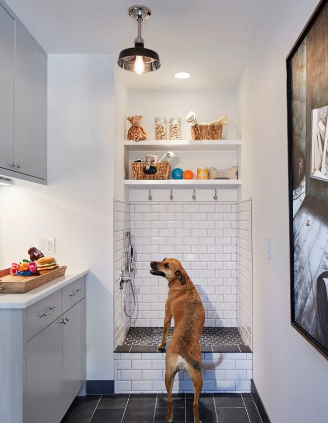 Home Features for the Ultimate Pet Owner