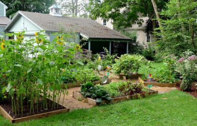 How to Combat Climate Change Using Your Garden