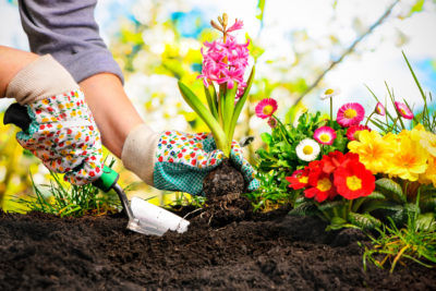 Garden In Time For Spring