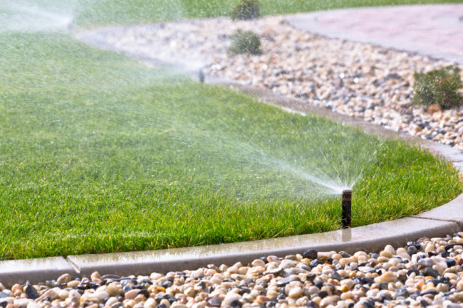 An Art of Choosing the Best Lawn Irrigation Company