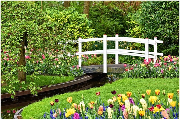 How to Create Your Dream Garden 