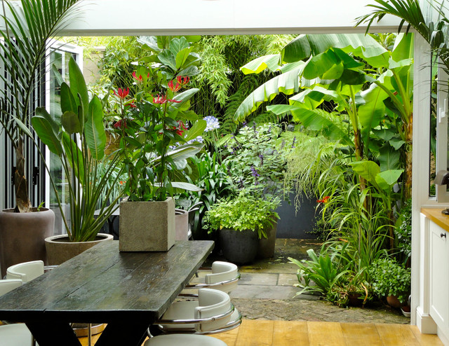 Creating Your Own Balcony Garden